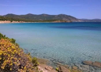 11202581 845545992194572 3756325945692122178 n 350x250 - Cala Coticcio: la nostra Tahiti