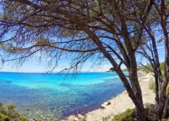 11206966 844749498940888 5012077627959267504 n 350x250 - Cala Coticcio: la nostra Tahiti