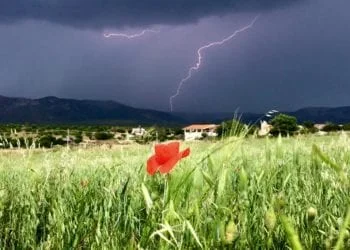 11265120 910468342328739 3363977137686619070 n 350x250 - Fulmini in diretta dall'hinterland di Cagliari