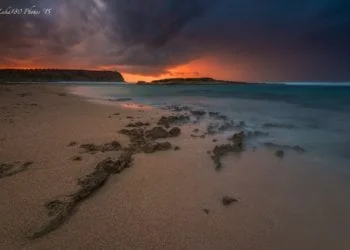 1492695 960779583955076 3154349909084743785 o 350x250 - Cala Coticcio: la nostra Tahiti
