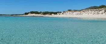 10557414 10204808564636763 6828289376503025863 n 350x148 - Cala Luna...da togliere il fiato!