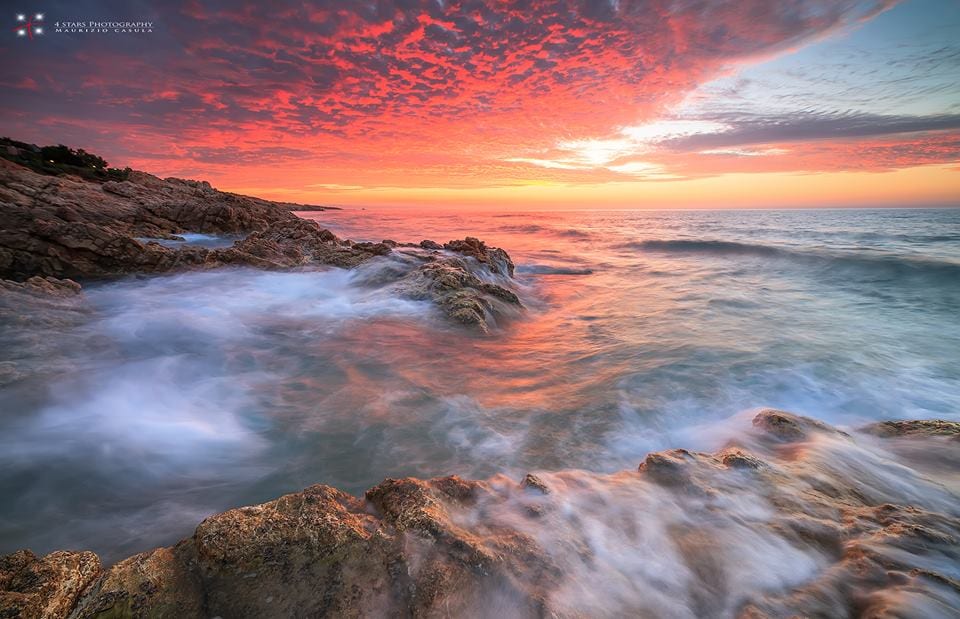 10646744_10204911088839804_7994546172627599652_n