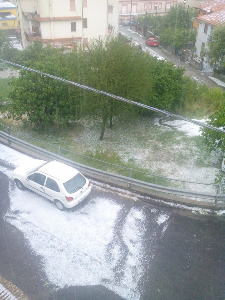 11401168_880128202043639_8210445356987195211_n