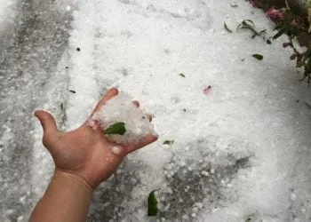 11401265 921916874517219 8261884701925271961 n 350x250 - Piovono "palle da tennis" dal cielo. No, è grandine enorme