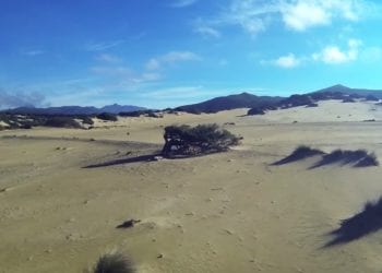 Untitled 129 350x250 - Le dune di Piscinas: il deserto della Sardegna