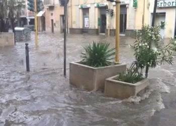 11749768 10207424264795881 537133181 n 350x250 - Incredibili accumuli ieri: il temporale scarica 128 mm!