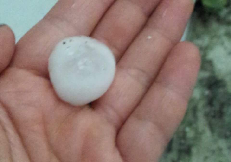 Grandine Bortigali 3