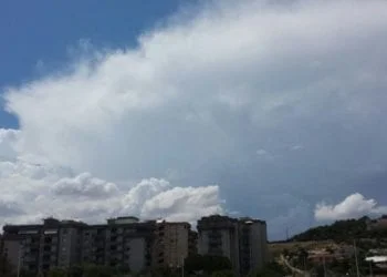 IMG 20150724 WA0018 350x250 - Roghi alle porte di Cagliari - VIDEO