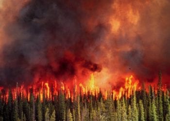Incendi boschivi 350x250 - Domani forti variazioni di temperature causa temporali