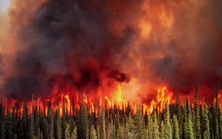 Incendi boschivi - I cambiamenti climatici allungano la durata della stagione degli incendi