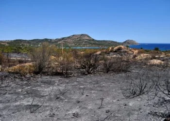 costa corallina 01 350x250 - La Costa Corallina in cenere - VIDEO e FOTO SHOCK