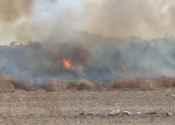 foto 413760 0x0 350x250 - Roghi alle porte di Cagliari - VIDEO
