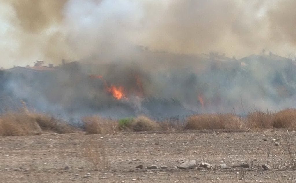 foto 413760 0x0 - Roghi alle porte di Cagliari - VIDEO