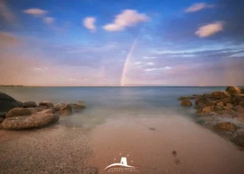DSC6501 350x250 - Nel posto giusto al momento giusto!