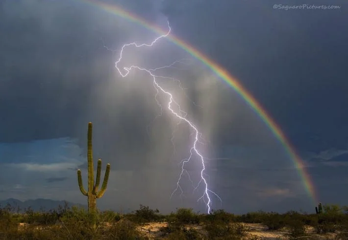 La foto della vita Untitled 123 - La foto della vita
