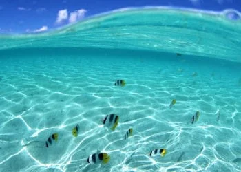 oceano 04 atlantico 350x250 - Emissioni di CO2 in calo? E' colpa della crisi economica globale