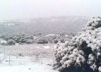 12026433 843436222440233 1755834104 n 350x250 - La Sardegna sotto la neve, ricordi fotografici