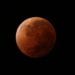Eclissi lunare il 4 aprile appuntamento con la Luna rossa info e live streaming 75x75 - Oggi meno caldo, ma temperature in rialzo sul cagliaritano