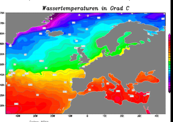 Reursst 350x250 - Mare: acqua ancora troppo fredda per i bagni? Scopriamolo
