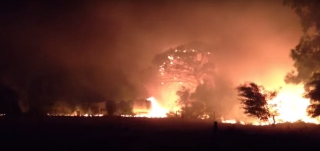Untitled 127 1024x485 - Maestrale e inferno di fuoco alla pineta Mugoni