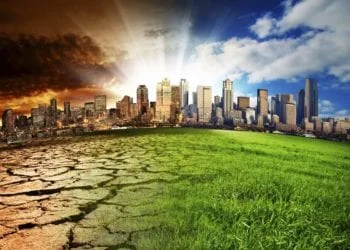 come contrastare cambiamento climatico cause conseguenze global warming rischi biodiversita animali estinzione 11 350x250 - Il primo quadrimestre del 2015 è stato il più caldo di sempre!