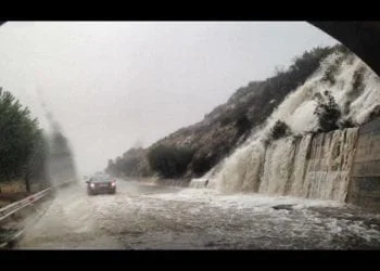 11223747 914143805334790 1733055570419088115 n 350x250 - La Costa Corallina in cenere - VIDEO e FOTO SHOCK