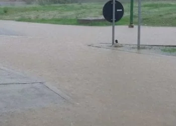12107018 10206636538530855 6192864035827216992 n 350x250 - Dove è piovuto di più da inizio mese? I DATI