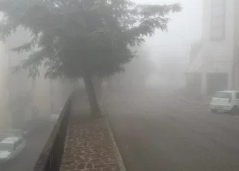 12108912 1096925933650889 6958306362411773402 n 350x250 - Spettacolare nebbia d'avvezione avvolge Cagliari!
