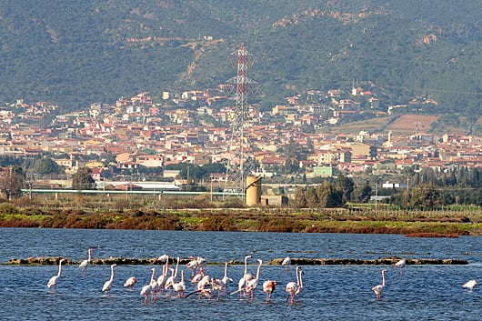 1215602709 lo stagno e sullo sfondo capoterra - Il clima nelle città sarde: CAPOTERRA