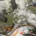 Meteosat3 75x75 - Ciclone verso il Tirreno: ecco quanto pioverà sabato