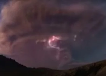 Untitled 14 350x250 - Scandalo alla BBC: ritoccate immagini per renderle più spettacolari