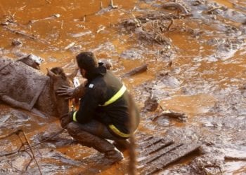 Disastro ambientale in Brasile dopo l’esplosione di due dighe 5 e1447629662633 350x250 - Disastro ambientale in Brasile, il VIDEO che nessuno fa vedere