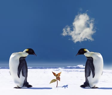 Fotolia 1907996 XS2 - Un inverno coi "fiocchi"?