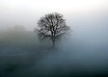 Fotolia 3426821 XS 350x250 - Temperature scese fino a 6°C, prossima notte farà più freddo