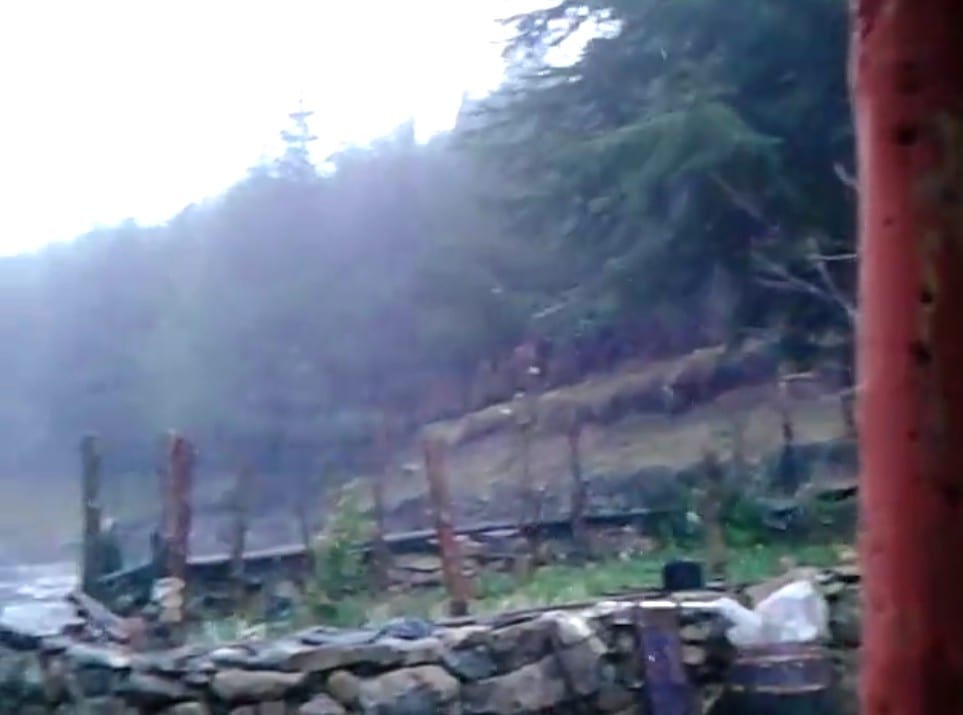 Untitled 33 - Il video della prima neve al Bruncuspina