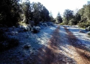 12369251 1660907667493895 8997036107143366789 n 350x250 - Sole e caldo: in Sardegna Babbo Natale arriva col surf