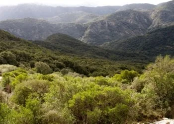 Marganai 350x250 - Siamo in grado di proteggere il nostro patrimonio naturale?