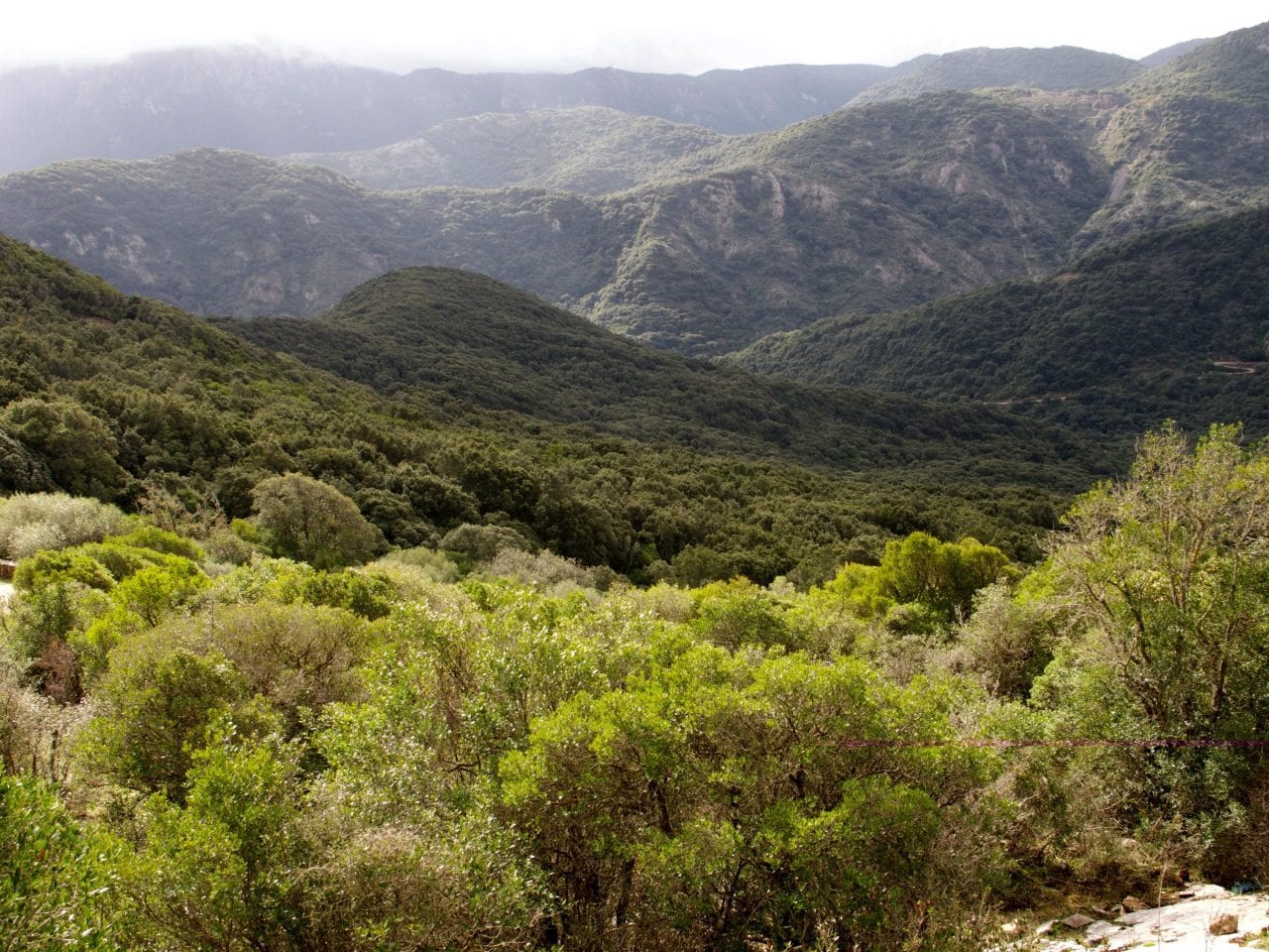 Marganai - Siamo in grado di proteggere il nostro patrimonio naturale?