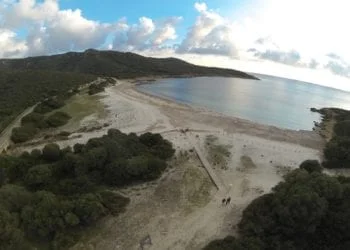 bgf 350x250 - Sole e caldo: in Sardegna Babbo Natale arriva col surf