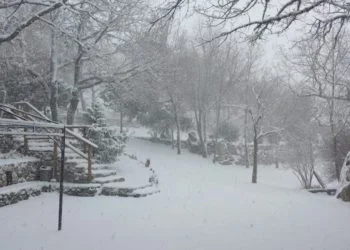 Fonni1 350x250 - La neve a Fonni: altre testimonianze foto e video