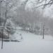 Fonni1 75x75 - Desulo sotto abbondante nevicata: video