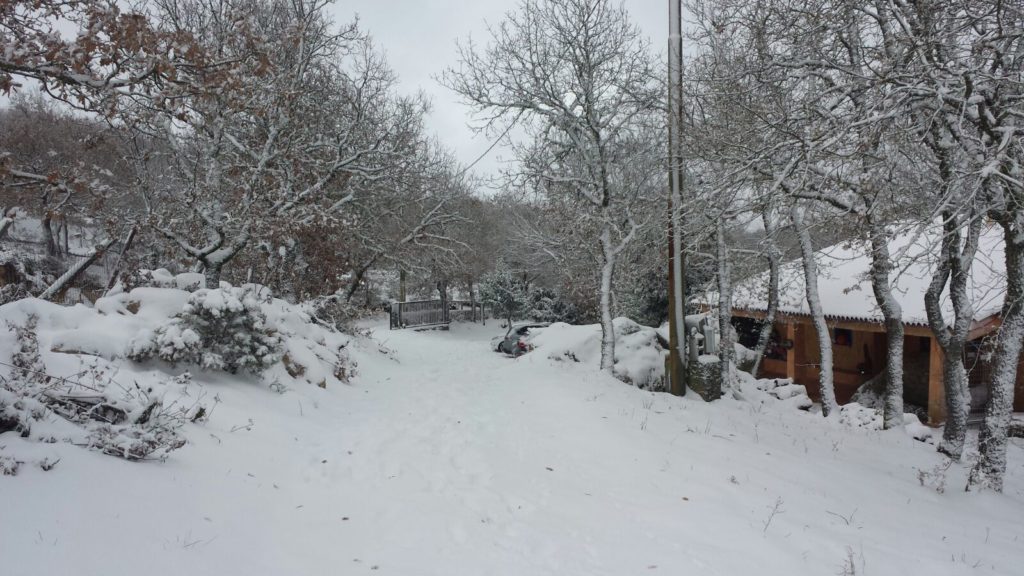 Fonni11 1024x576 - Fonni e la certezza della neve