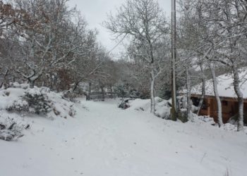 Fonni11 350x250 - La neve a Fonni: altre testimonianze foto e video