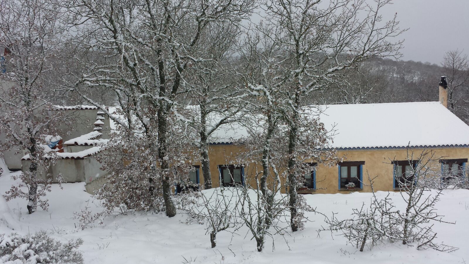 Le foto che testimoniano ancor di più la bontà delle precipitazioni nella zona, in alcuni casi superiori alle attese modellistiche.