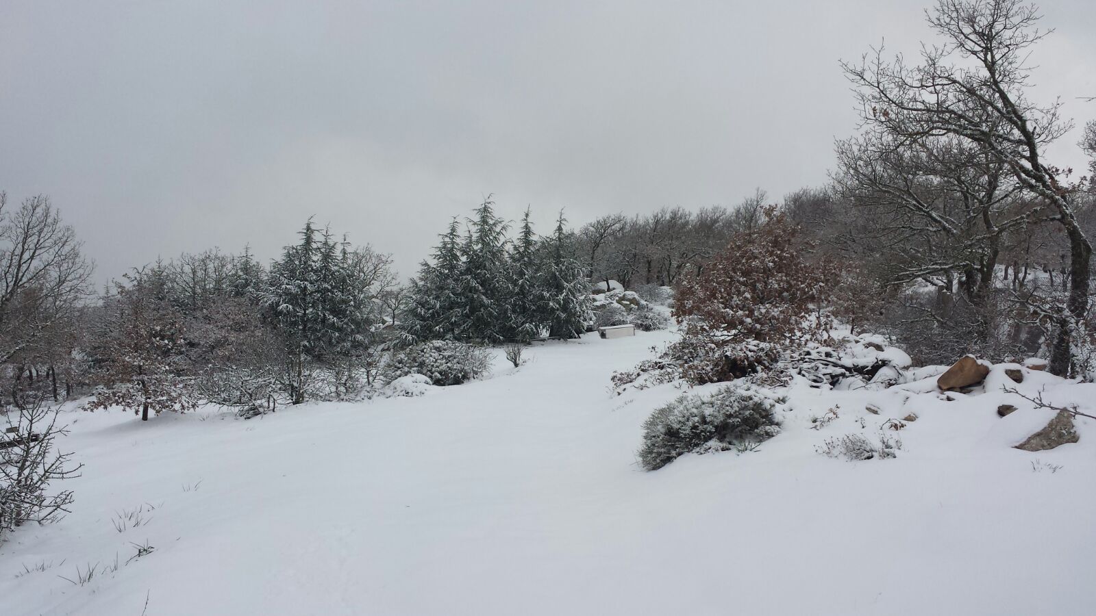 Le foto che testimoniano ancor di più la bontà delle precipitazioni nella zona, in alcuni casi superiori alle attese modellistiche.