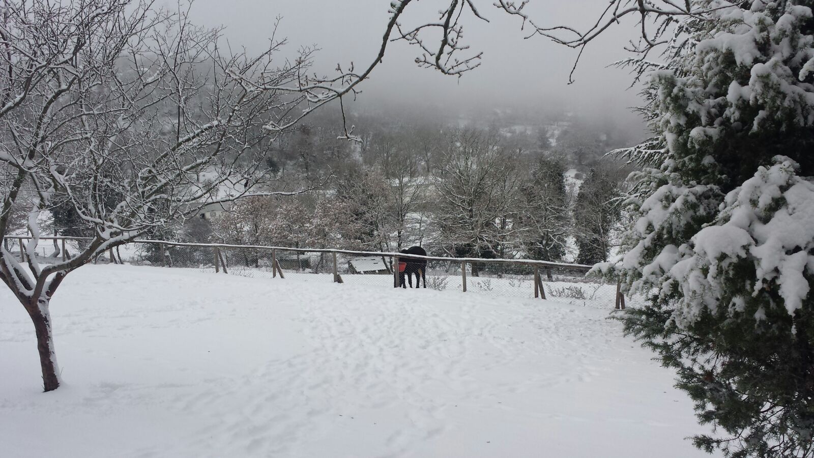 Le foto che testimoniano ancor di più la bontà delle precipitazioni nella zona, in alcuni casi superiori alle attese modellistiche.