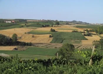 agricoltura sardegna 350x250 - Siccità in Sardegna, situazione sempre più critica