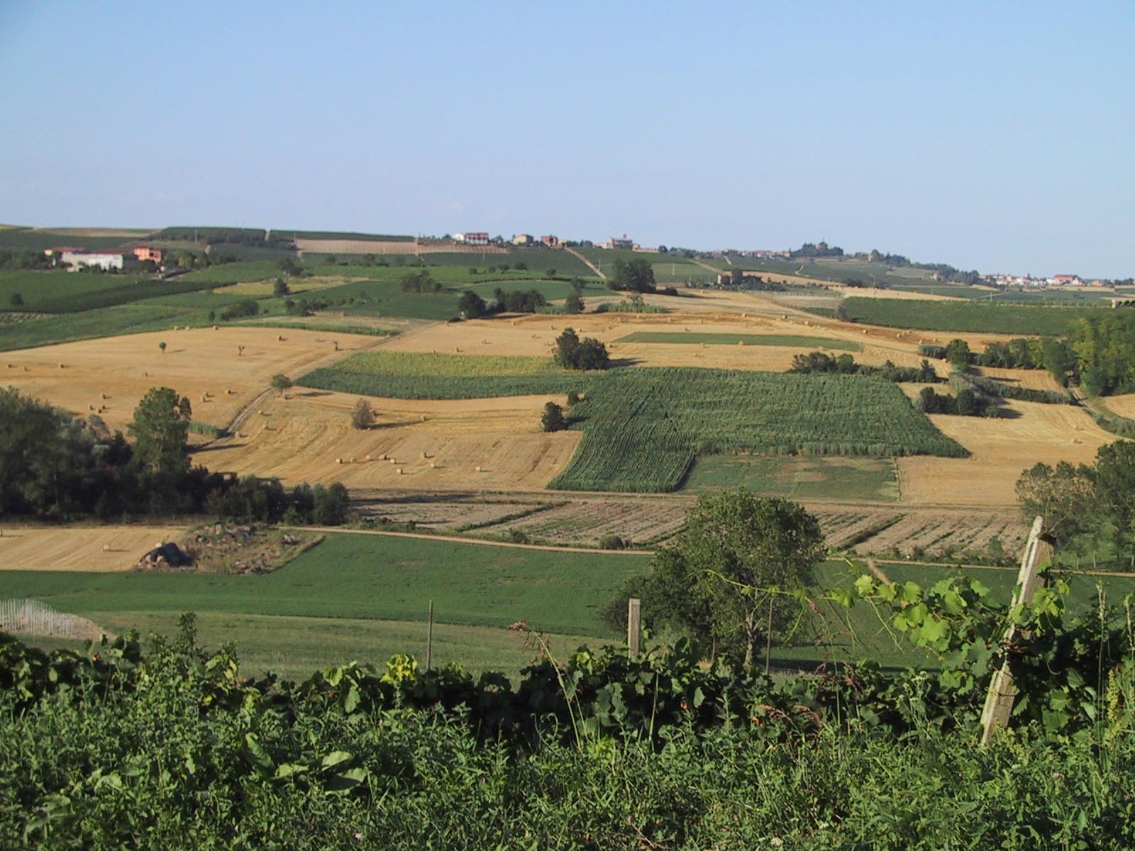 agricoltura sardegna - Siccità: situazione drammatica anche in agricoltura