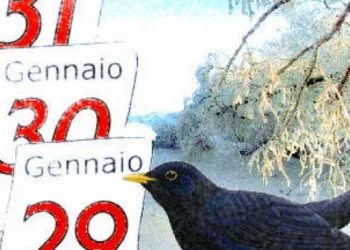 giorni della merla 702x336 1 350x250 - Stop inverno, i giorni della Merla fra mitezza e siccità. Previsioni meteo
