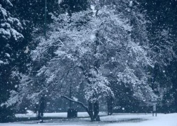 nevicata 350x250 - Neve fin sulle coste, il gran freddo sulla Sardegna